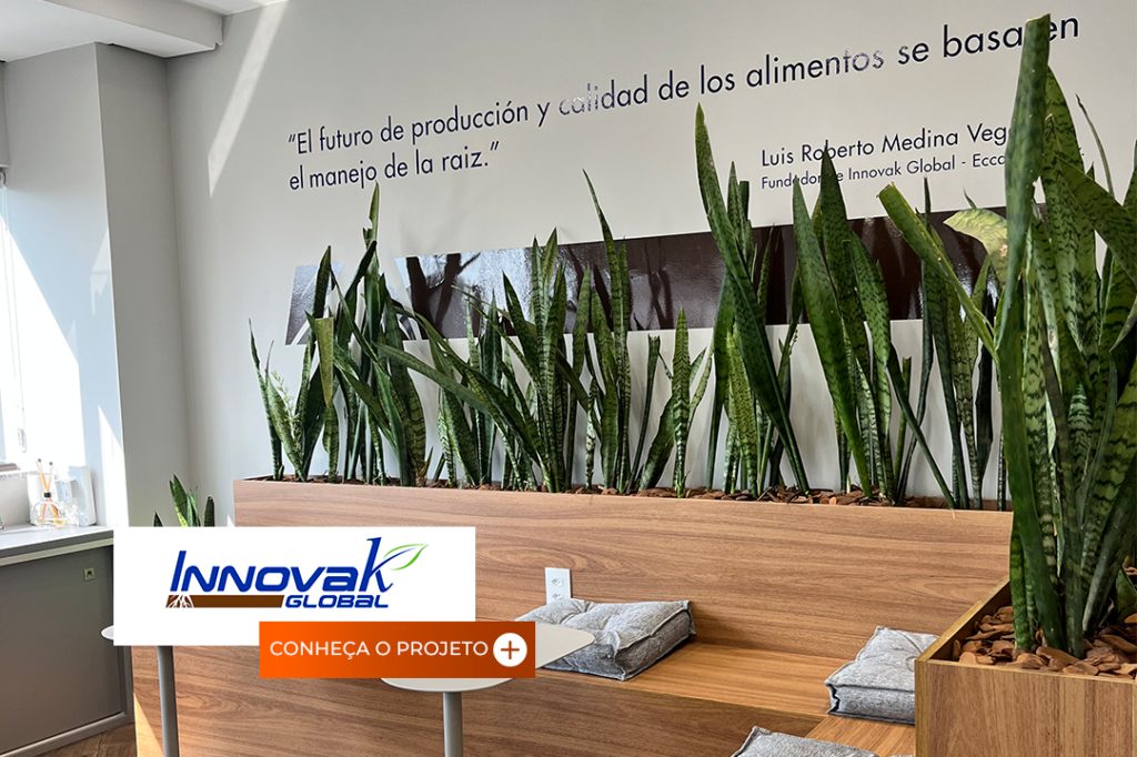 Case Innovak